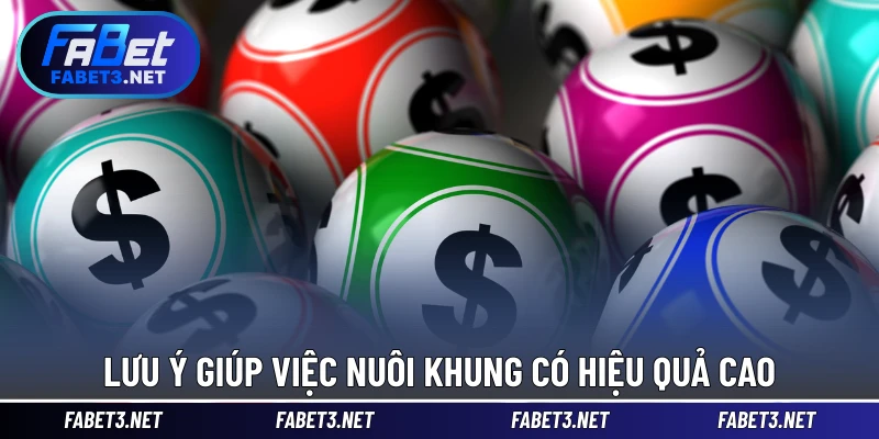 Lưu ý giúp việc nuôi khung có hiệu quả cao