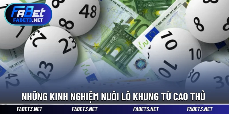 Những kinh nghiệm nuôi lô khung từ cao thủ